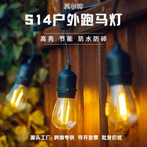 Outdoor Waterproof S14 Light String Hanging Garden Light Running Lantern Festival Lighting Atmosphere Decorative Light Solar Light String